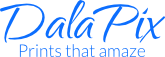 DalaPix Logo